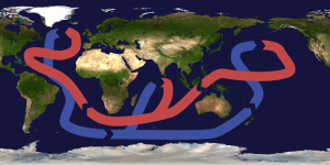 The ocean conveyor belt courtesy of Wikimedia Commons